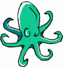 Octopus